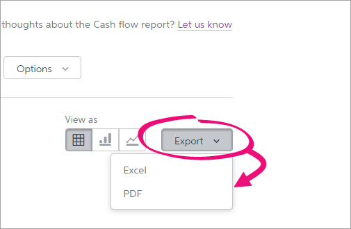 Export the cash flow report as an Excel file or PDF.